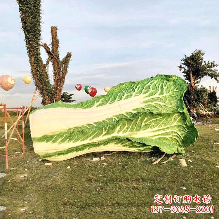 福建新鲜白菜“精致生活”系列