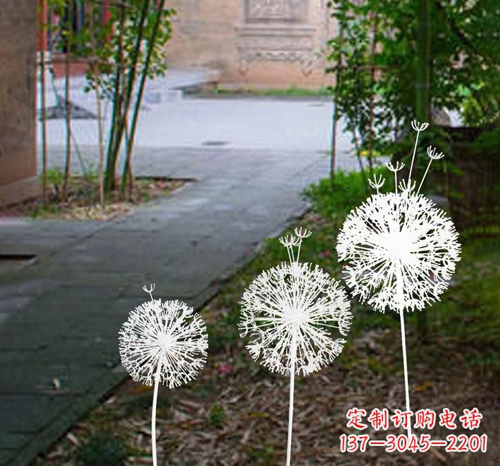 福建不锈钢蒲公英点亮城市之美