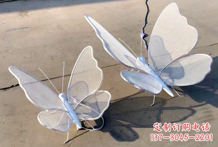 福建不锈钢钢丝网格蝴蝶雕塑——灯光下的灵动之美