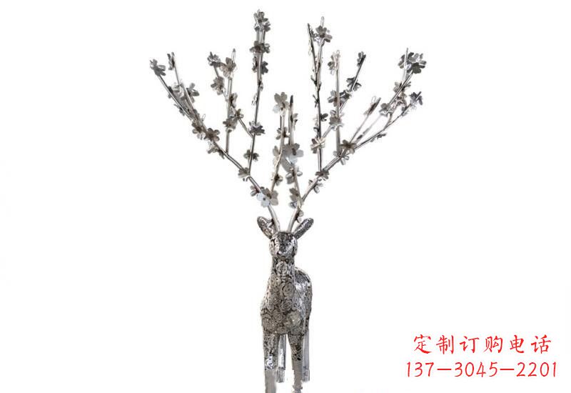 福建梅花鹿的优雅身姿