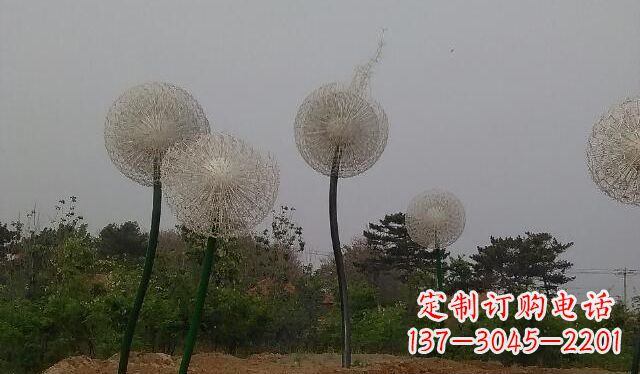 福建蒲公英的绚丽多彩