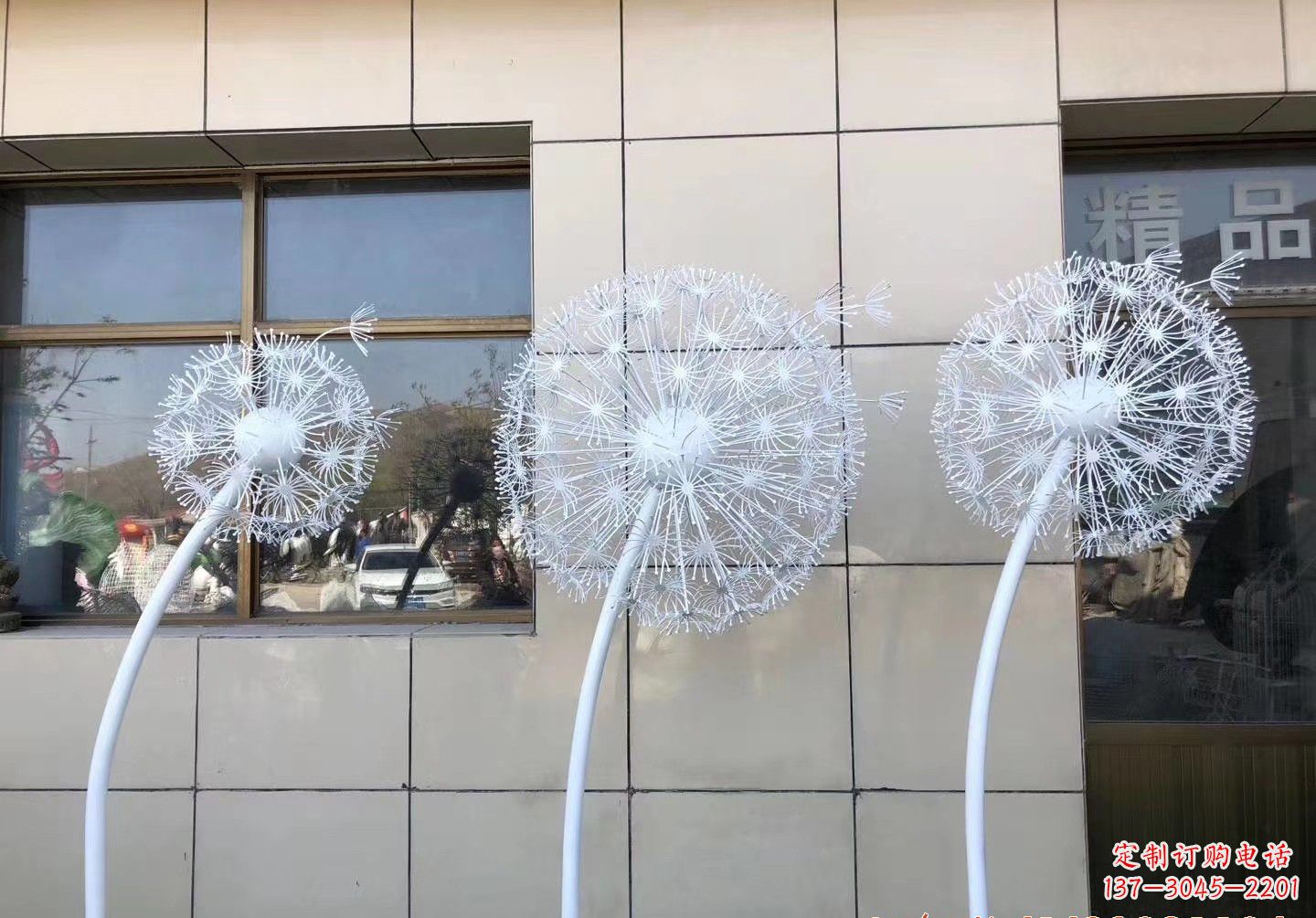 福建蒲公英,景观雕塑之美