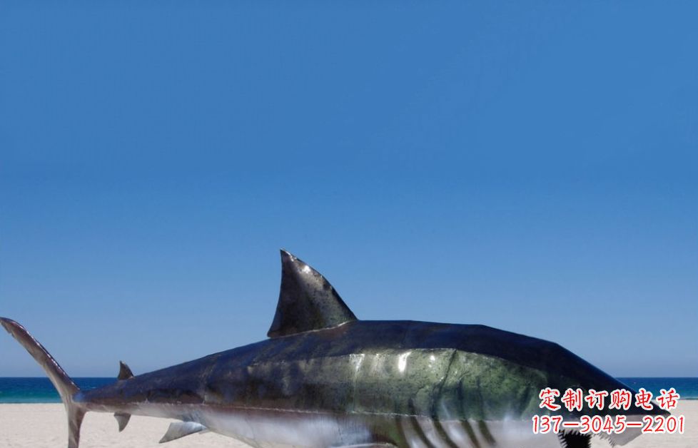福建海洋生物之美——不锈钢鲨鱼雕塑