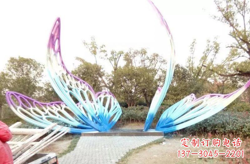 福建彩色不锈钢蝴蝶
