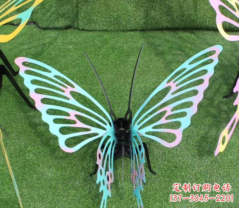 福建彩色不锈钢镂空蝴蝶雕塑
