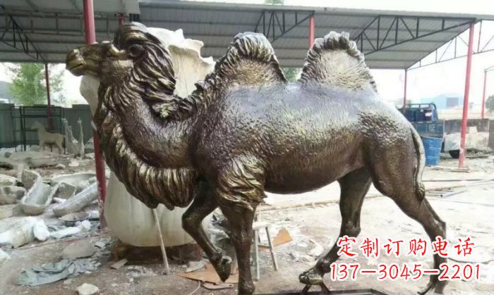 福建动物骆驼铜雕