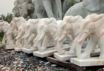 福建大理石雕的大象