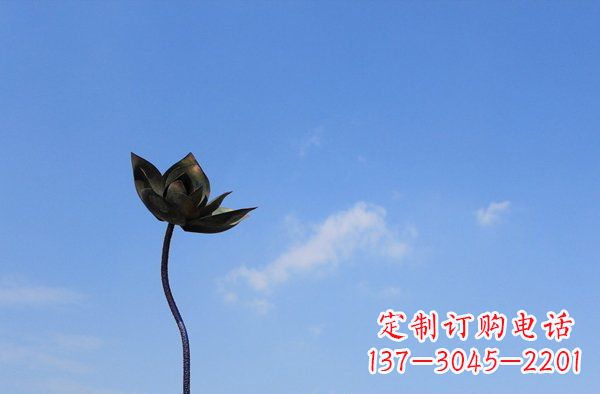 福建公园不锈钢荷花雕塑