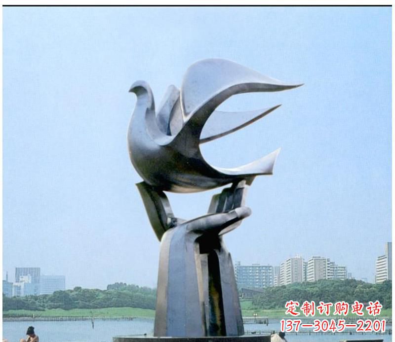 福建静谧之鸽,传递和平象征~