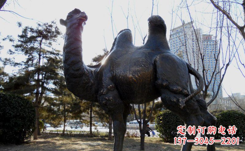 福建公园骆驼动物铜雕 (5)