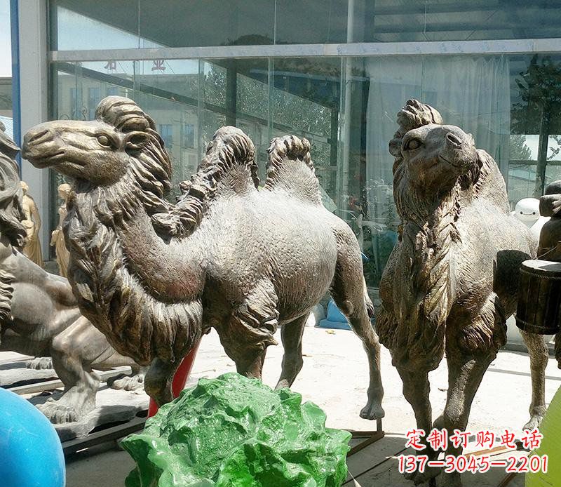 福建公园骆驼动物铜雕 (2)