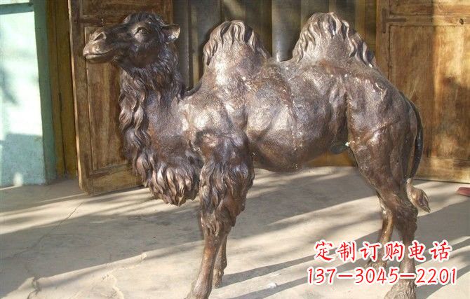 福建公园骆驼铜雕222