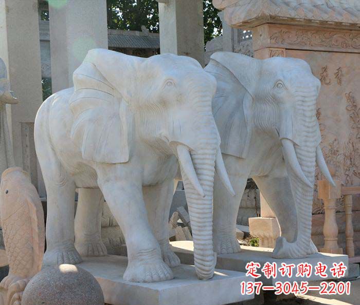 福建广场景观大理石大象石雕 (3)