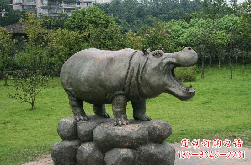 福建让生活更加精彩,靓丽而优雅的河马铜雕塑