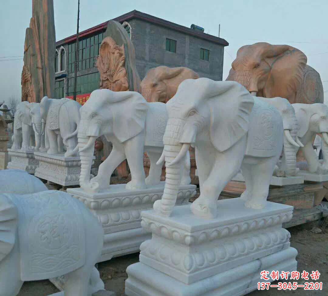 福建汉白玉大象雕塑1