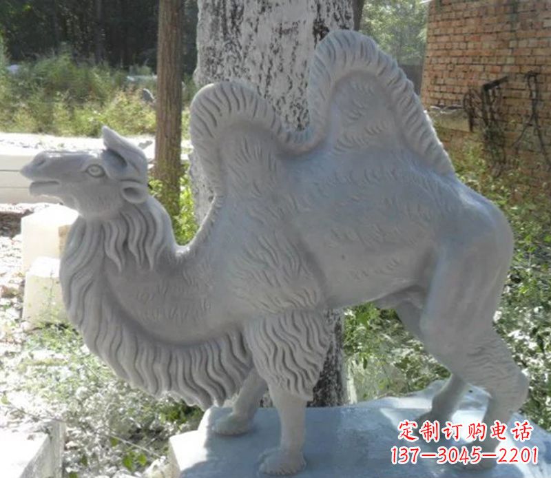 福建汉白玉动物骆驼石雕
