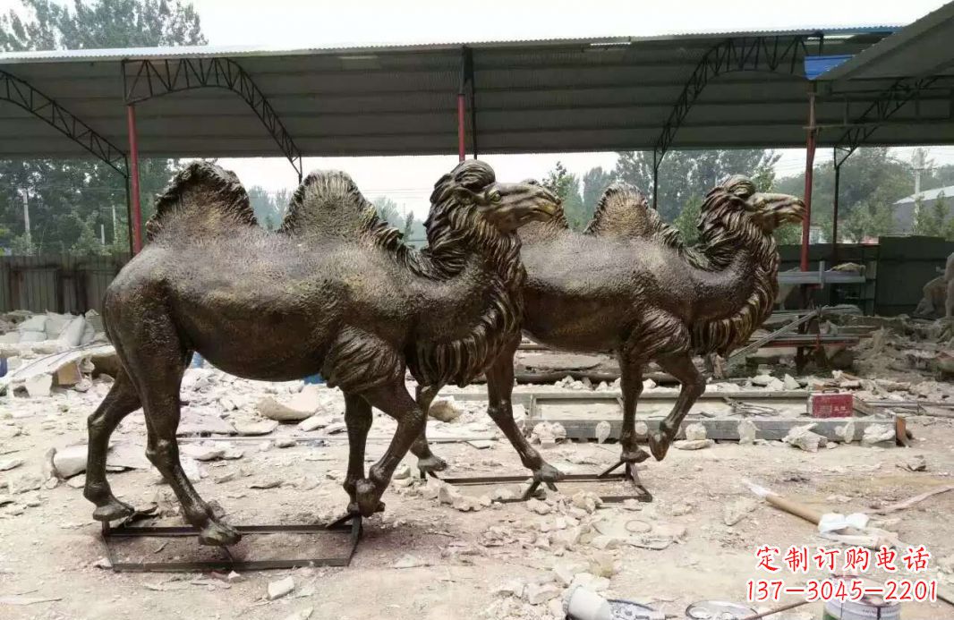 福建欣赏大自然的艺术之作——骆驼铜雕