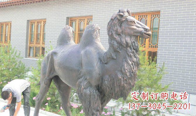 福建精美的骆驼铜雕,提升您的公园气质