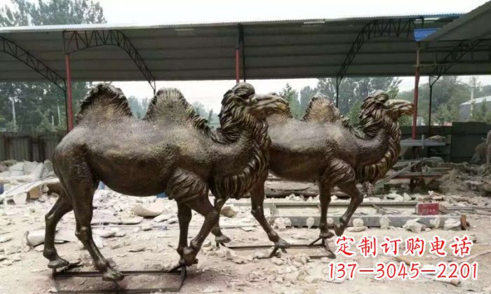 福建骆驼动物铜雕 (4)