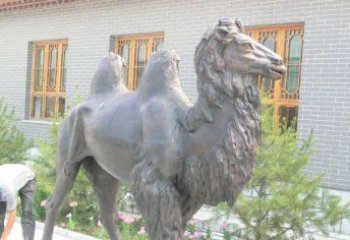 福建精美的骆驼铜雕，提升您的公园气质