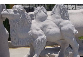 福建艺术珍品—骆驼石雕