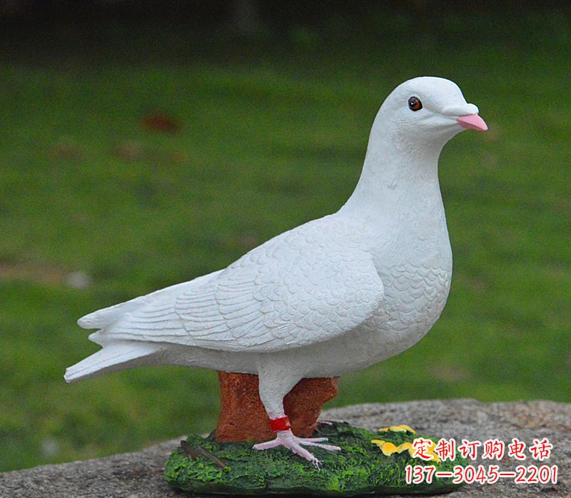 福建美丽的和平鸽雕塑,传递暖暖的正能量