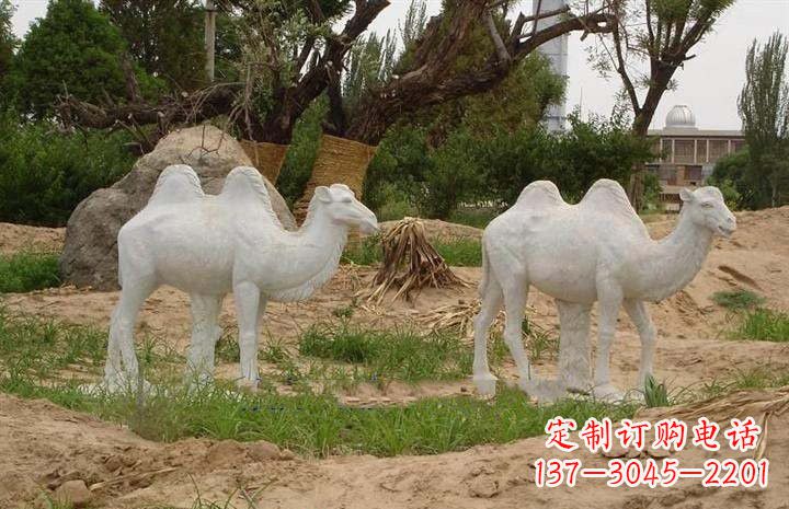 福建欣赏大自然,石雕骆驼公园动物雕塑邀请您