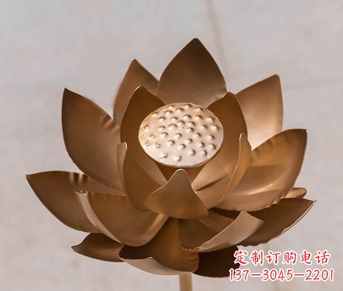 福建铜雕景观荷花