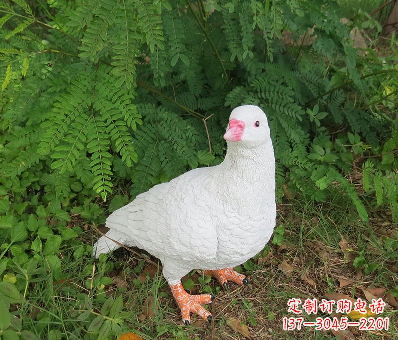 福建潍坊青年路和平鸽灰姑娘雕塑