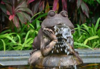 福建青蛙喷泉铜雕，让您的休憩空间更加欢乐