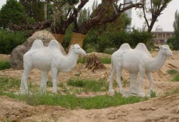福建欣赏大自然，石雕骆驼公园动物雕塑邀请您