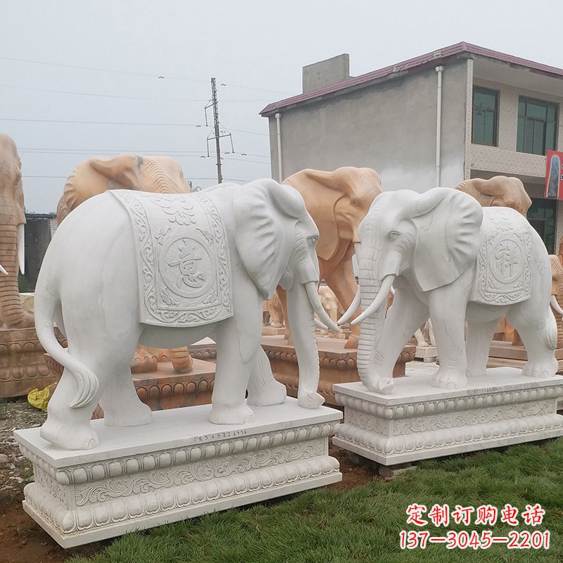 福建学校石雕大象