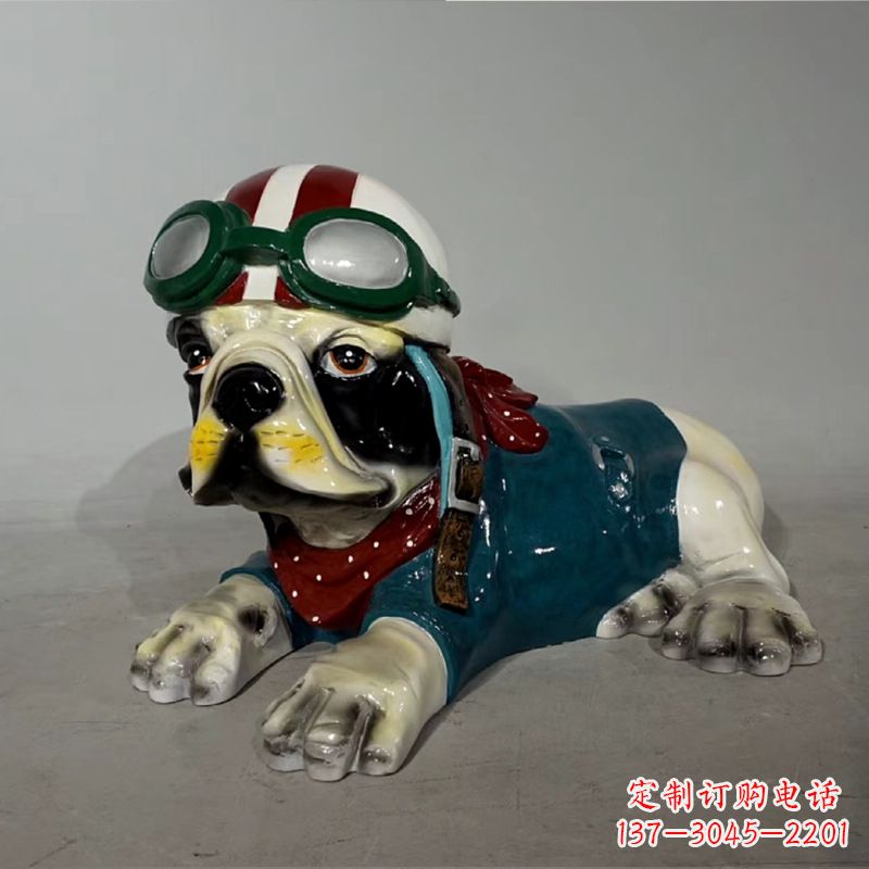 福建宇航员斗牛犬